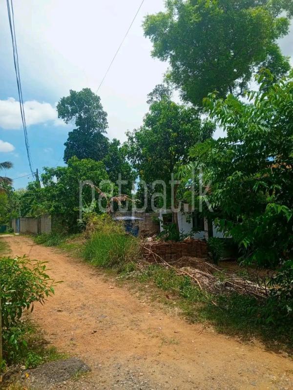 Residential Land for Sale in Ridigama ads-image-1