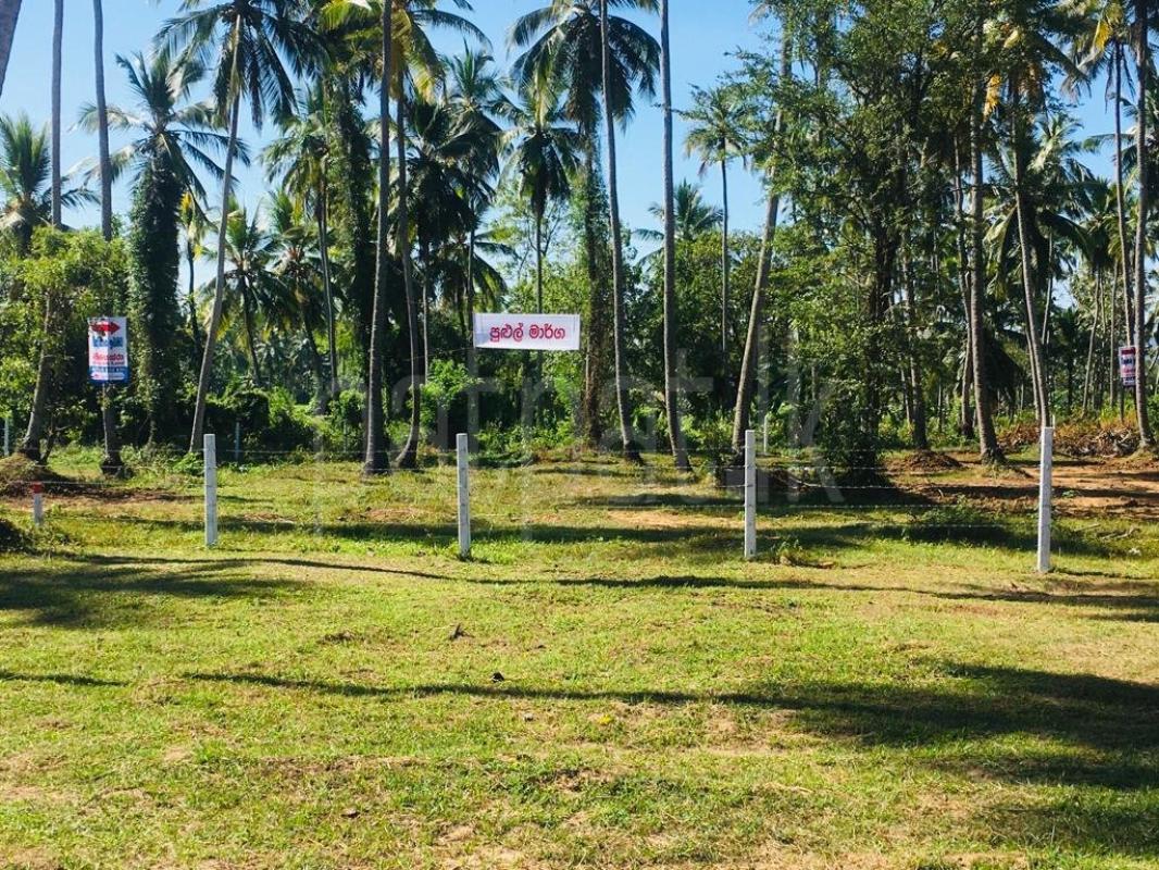 Residential Land for Sale in Wellawa ads-image-1