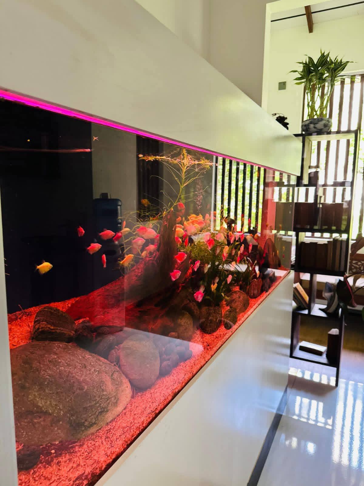 House for Sale in Minuwangoda