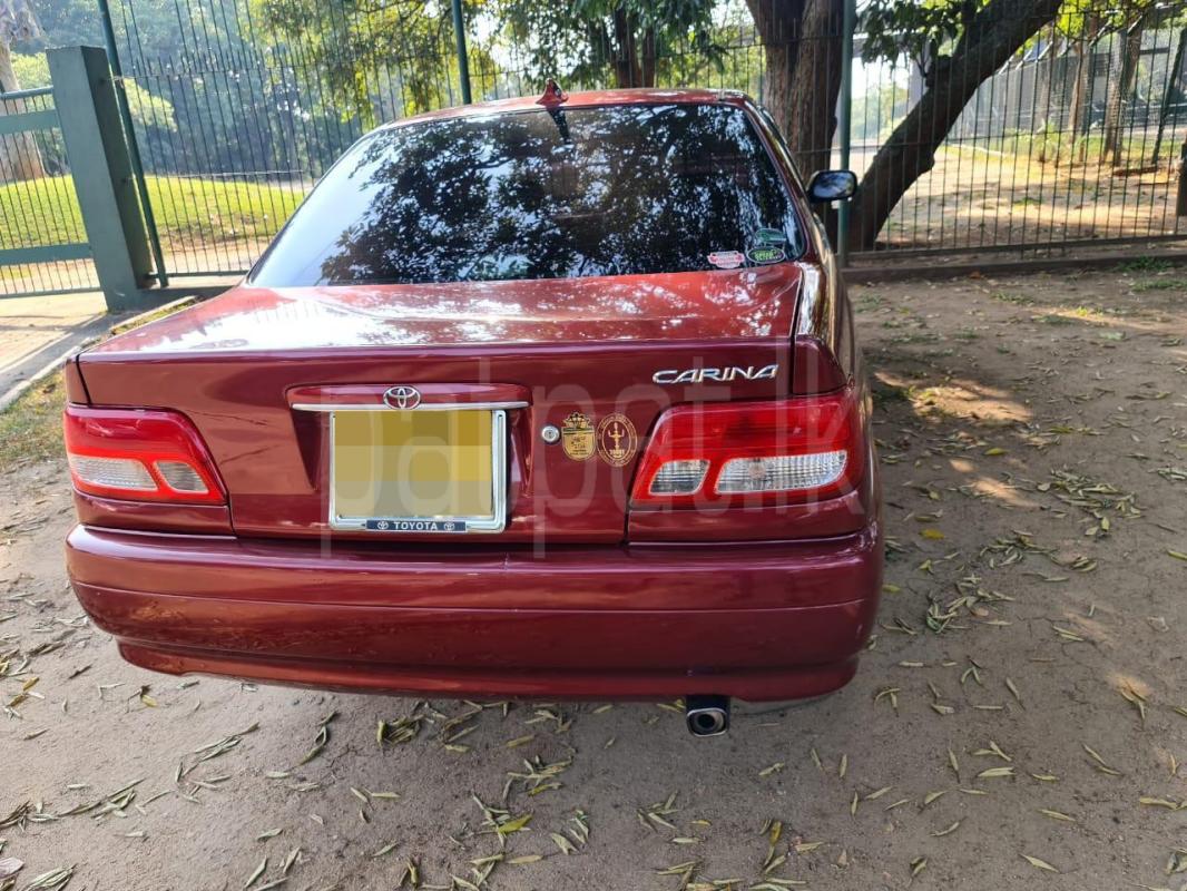 Advertisement image 5