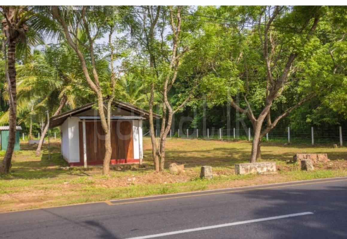 Commercial Land for Sale in Kuliyapitiya ads-image-1