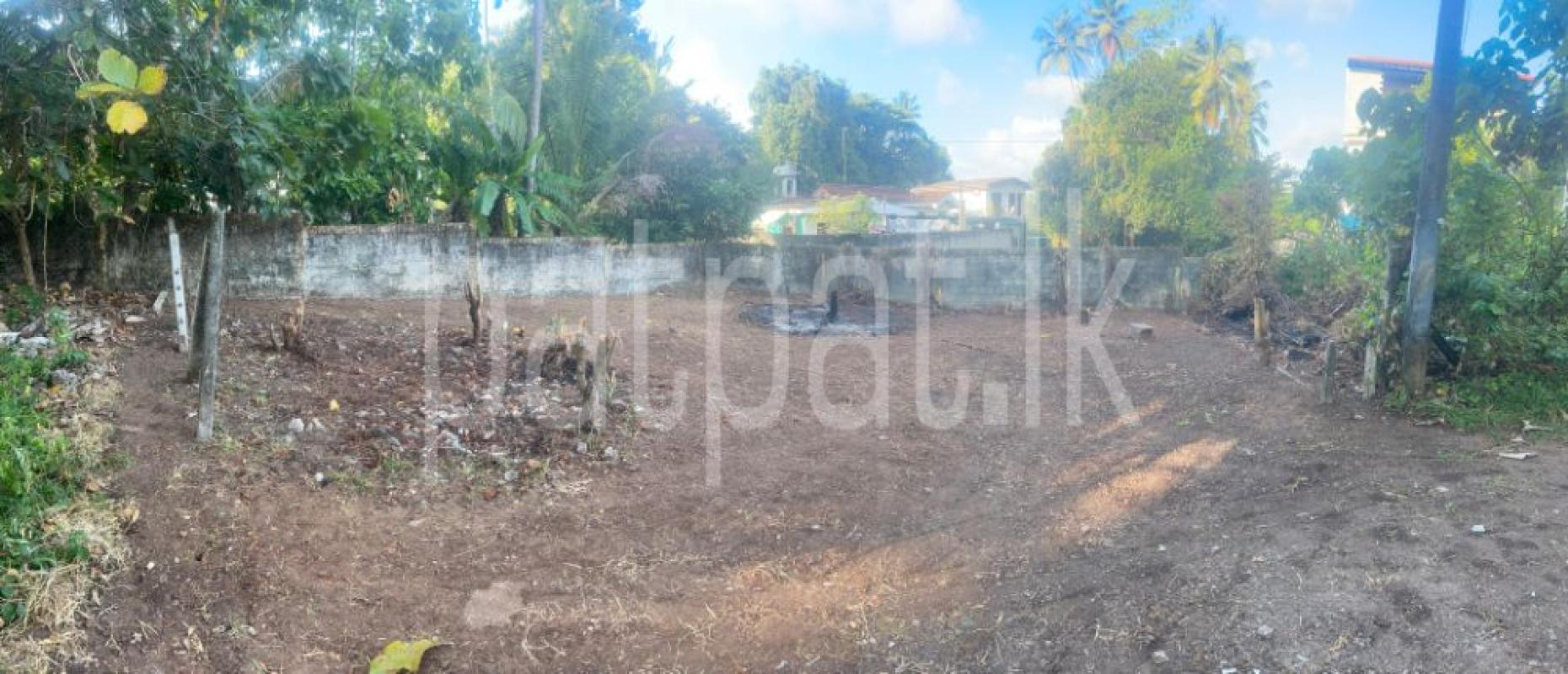 premium-listing-image