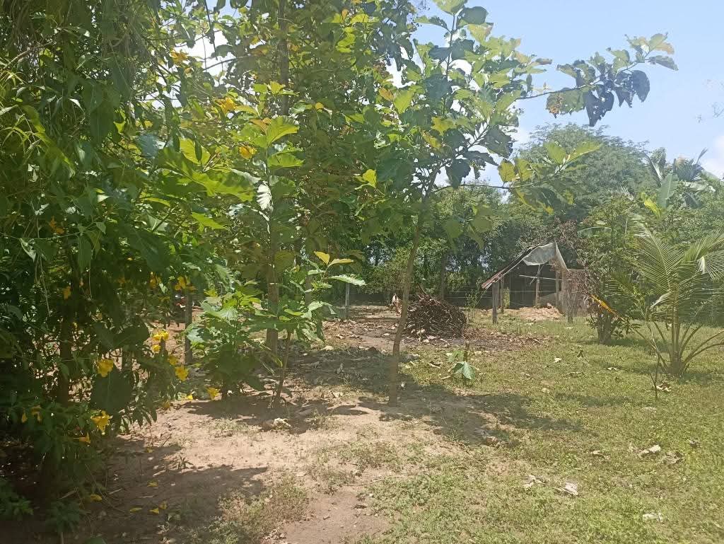 Residential Land for Sale in Puttalam