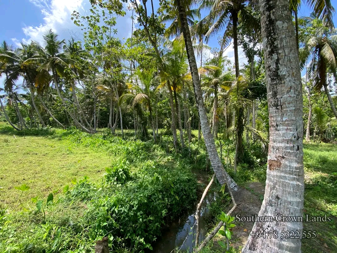 Agricultural Land for Sale in Yakkala ads-image-1