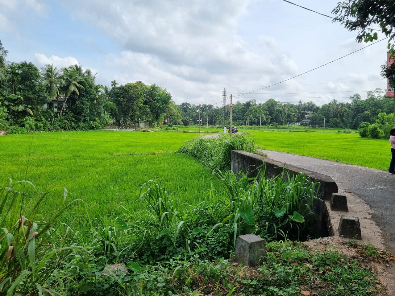 Residential Land for Sale in Kadawatha