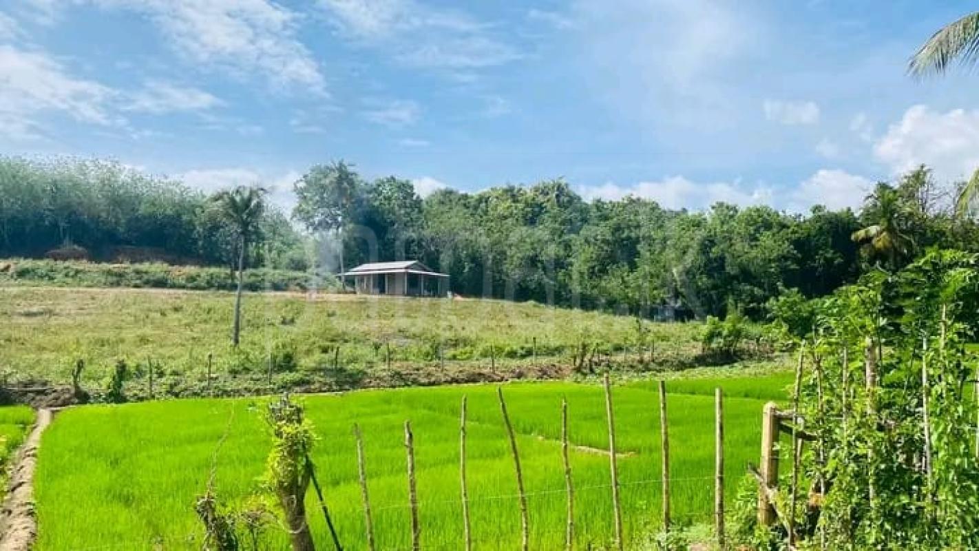 Commercial Land for Sale in Tangalla