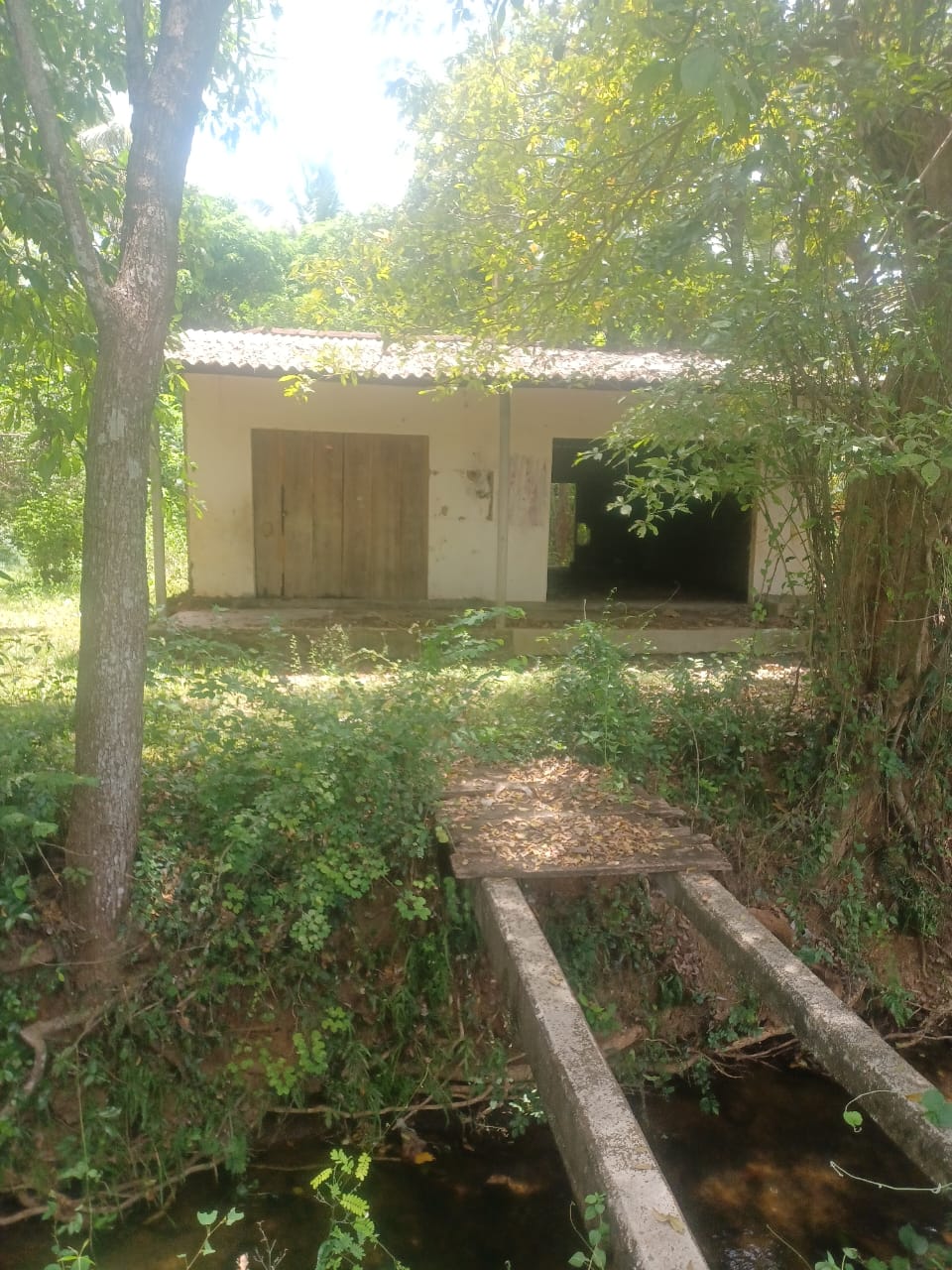 Residential Land for Sale in Pulastigama ads-image-1