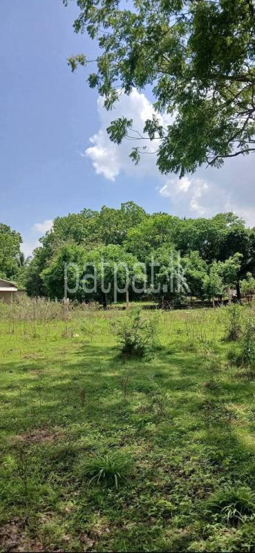 Residential Land for Sale in Kataragama