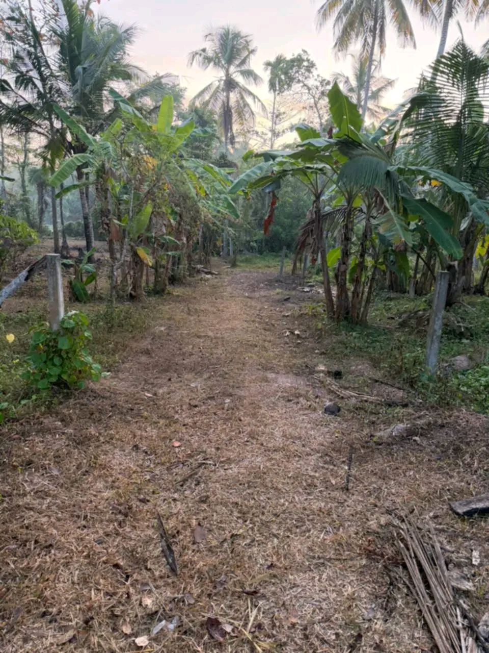 Residential Land for Sale in Ahungalla