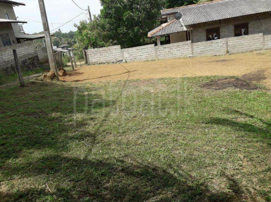 Commercial Land for Sale in Dikwella