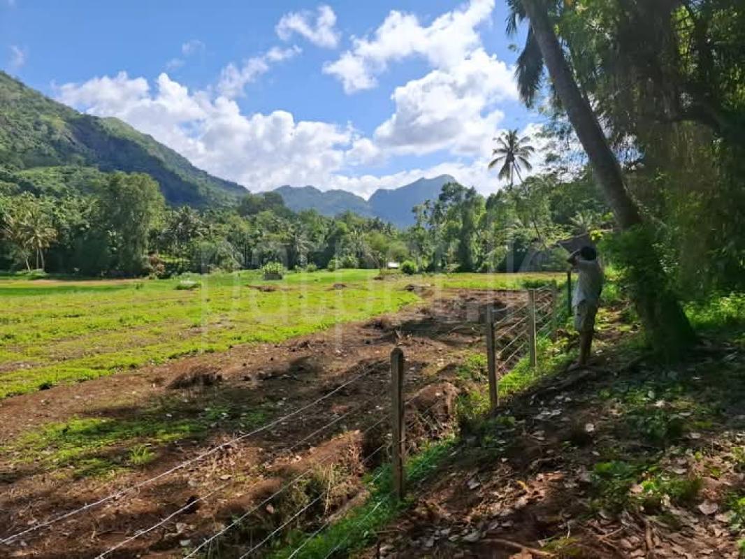 Agricultural Land for Sale in Matale