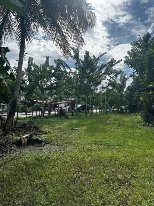 Commercial Land for Sale in Kohuwala
