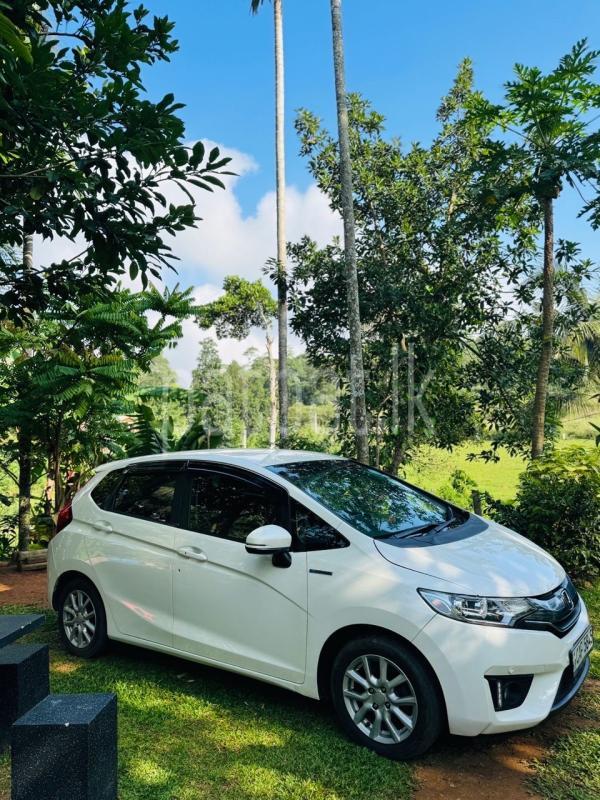 Advertisement image 5