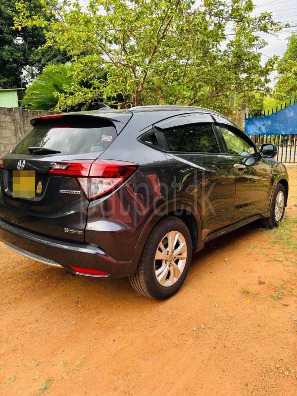 Advertisement image 3