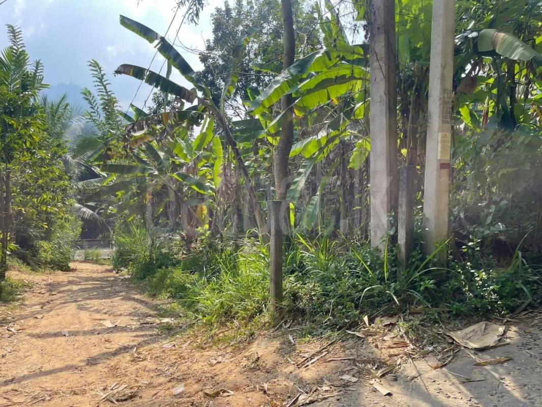 Commercial Land for Sale in Gampola