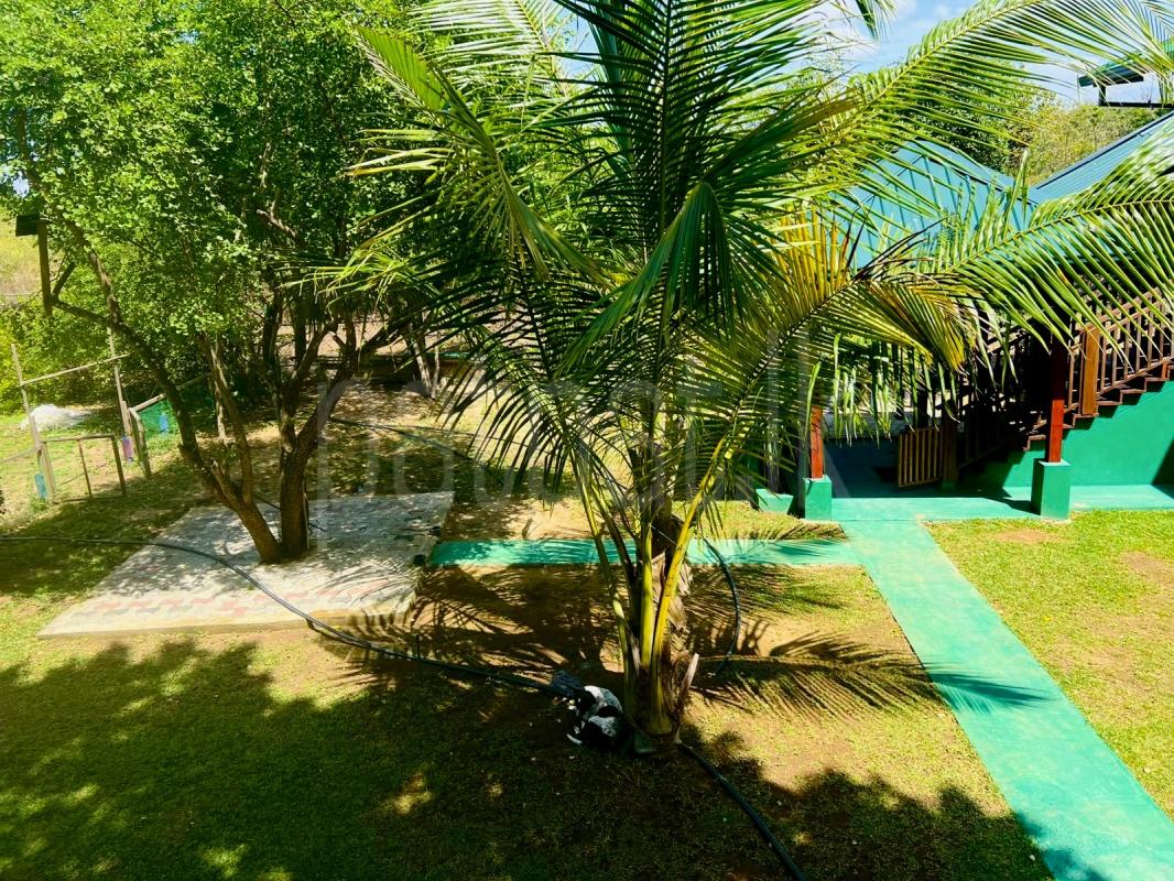 Hotel for Sale in Tissamaharama ads-image-1