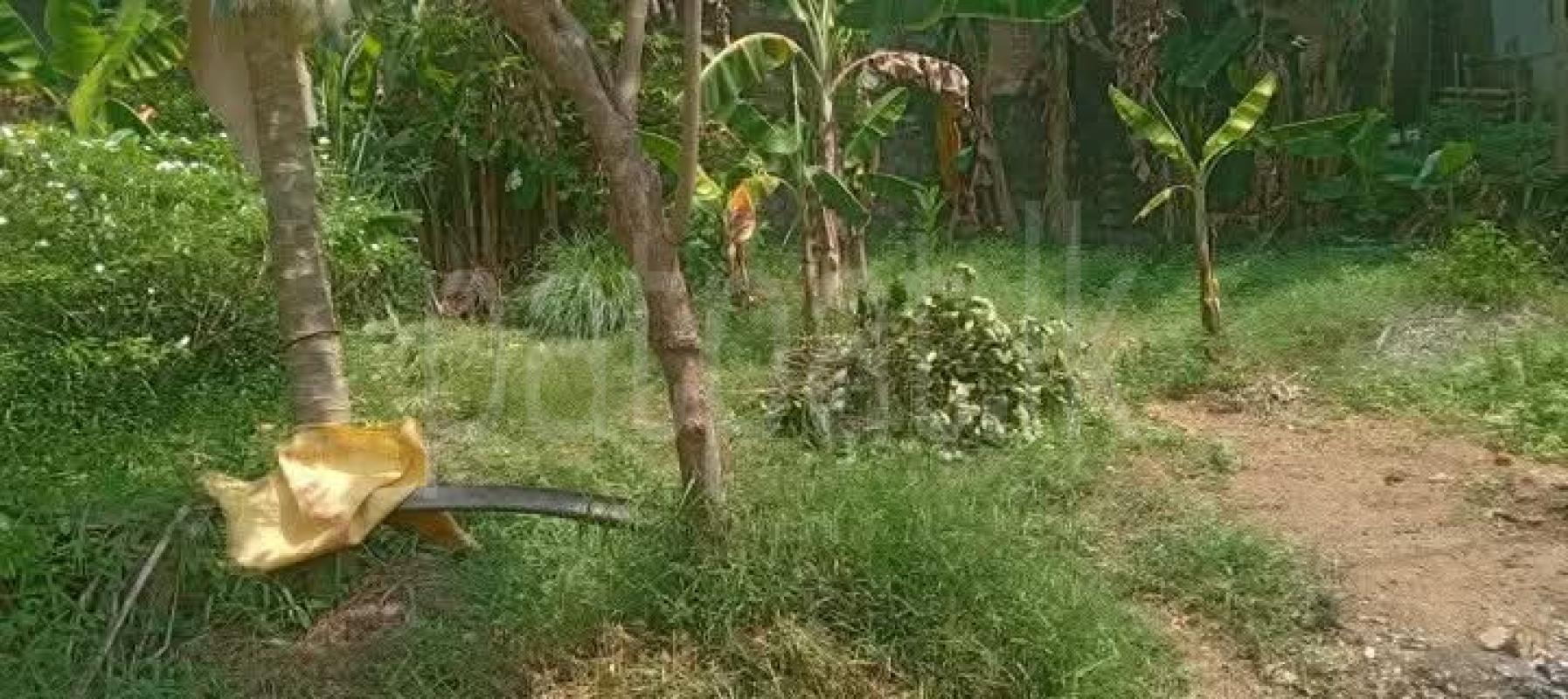 Commercial Land for Sale in Homagama ads-image-1