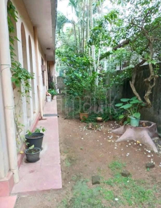 House for Rent in Piliyandala