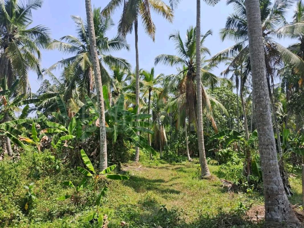 Agricultural Land for Sale in Maho