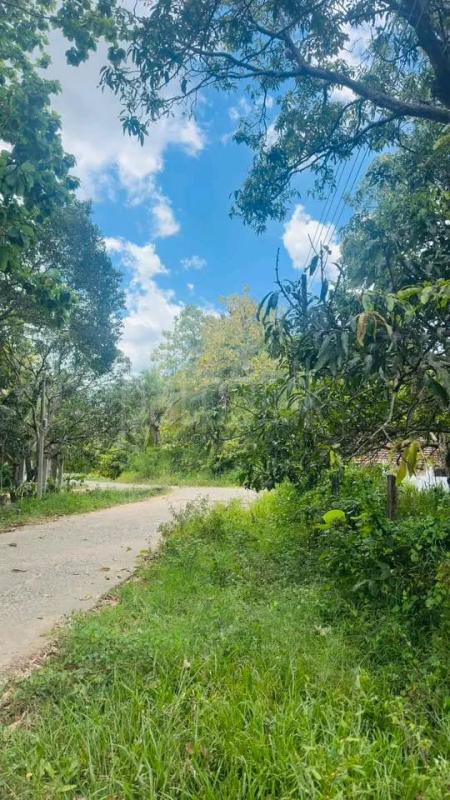 House for Sale in Kataragama ads-image-1