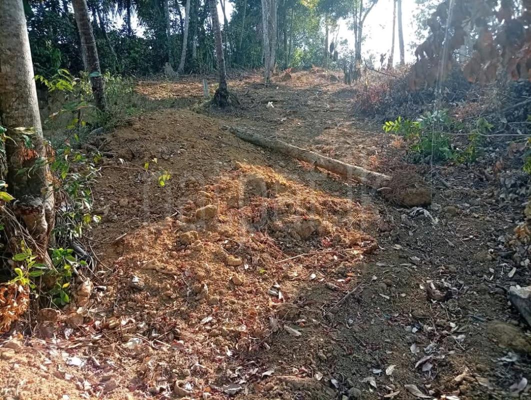 Residential Land for Sale in Veyangoda