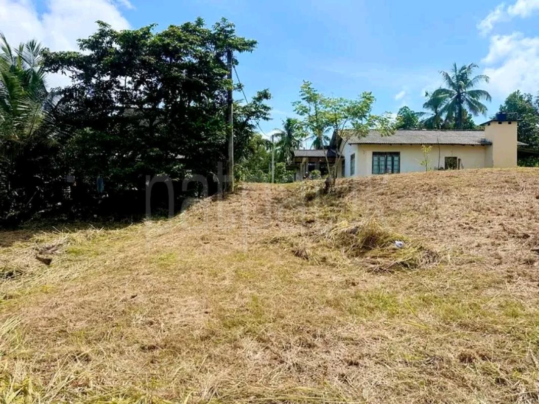 Commercial Land for Sale in Pallewela