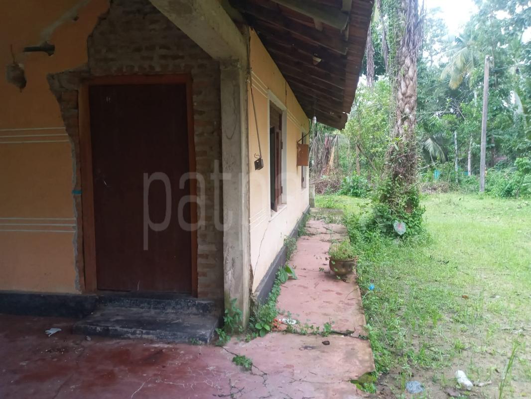 Agricultural Land for Sale in Katugastota