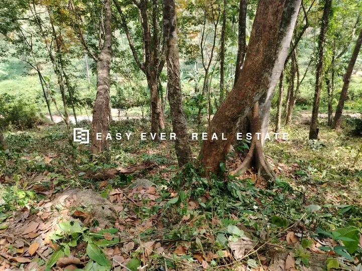 Commercial Land for Sale in Minuwangoda