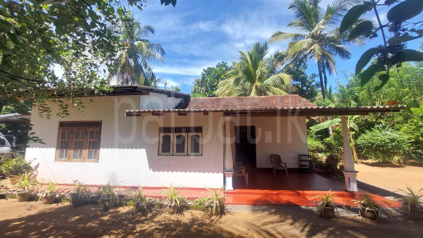 House for Sale in Udawalawe