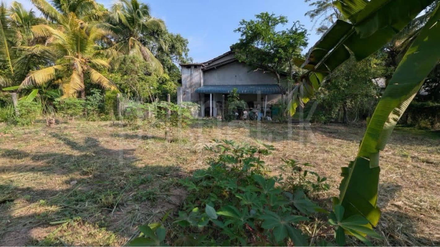 Residential Land for Sale in Veyangoda ads-image-1