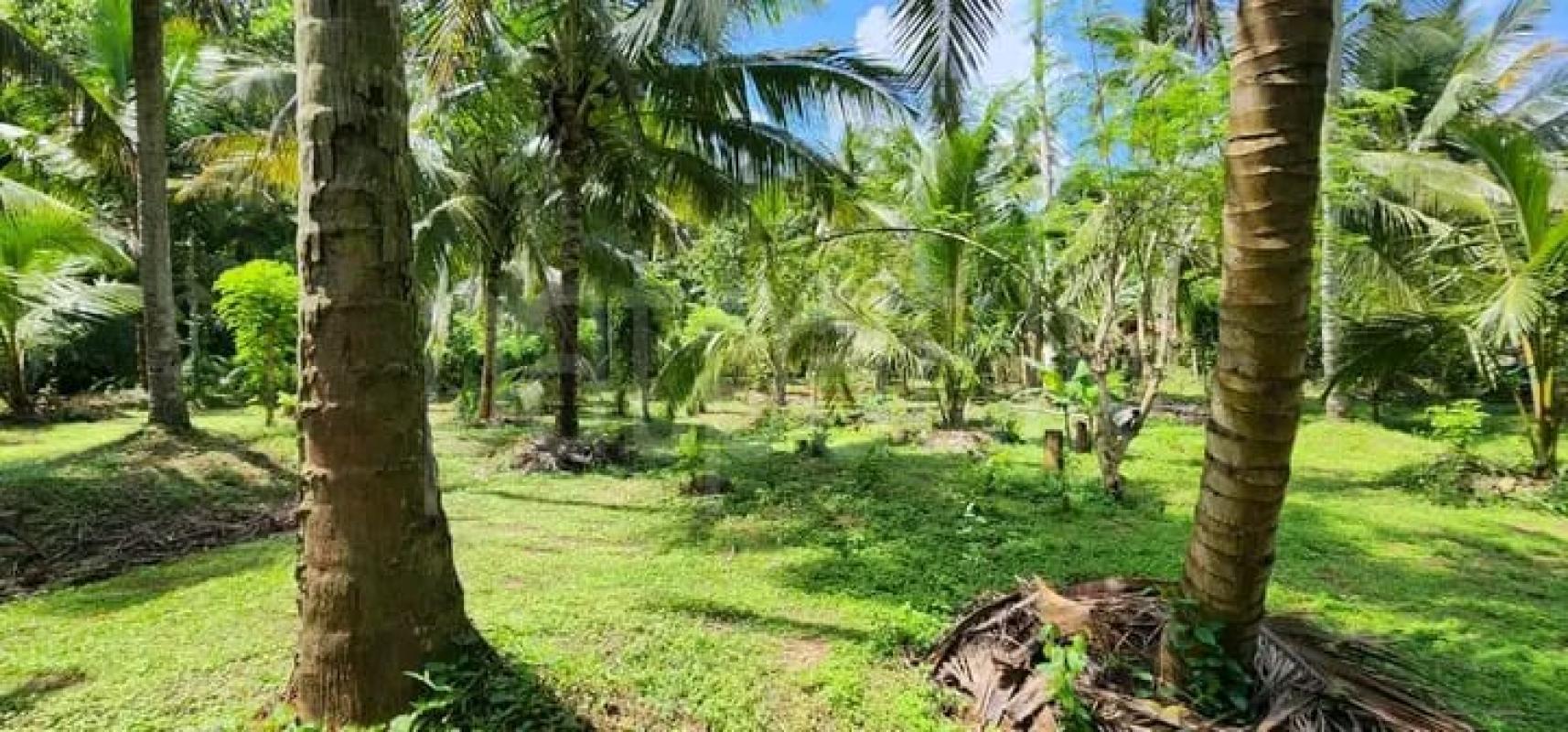 House for Sale in Kurunegala