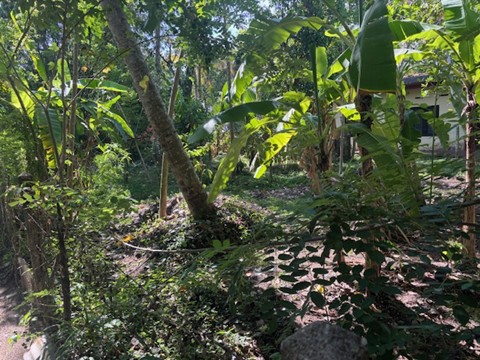 Residential Land for Sale in Piliyandala