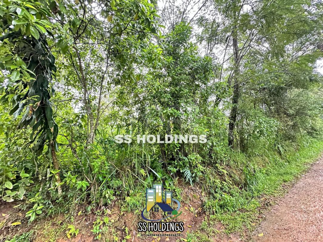 Commercial Land for Sale in Welimada