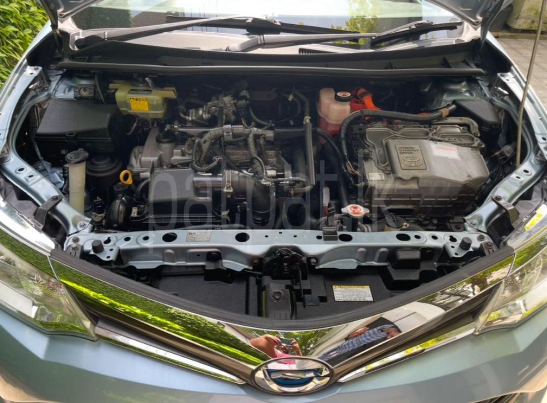 Advertisement image 6