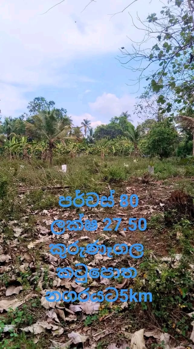 Commercial Land for Sale in Katupota ads-image-1