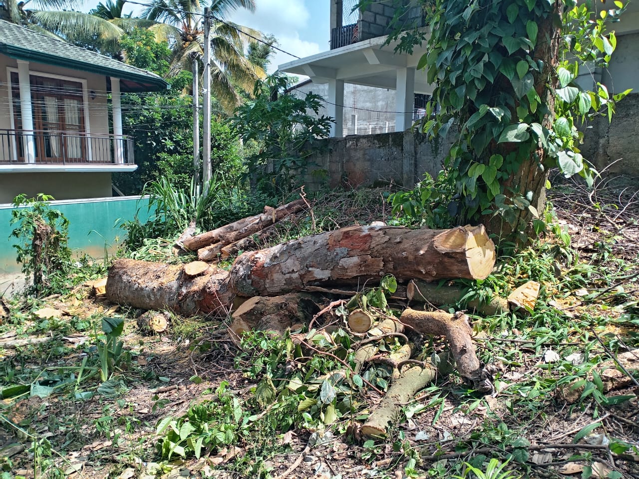 Residential Land for Sale in Lewella