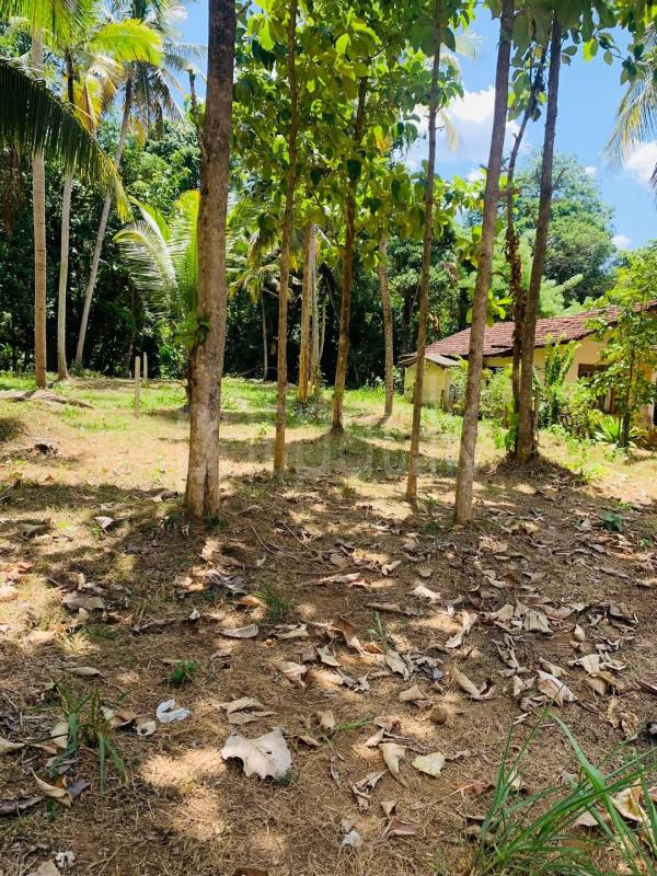 premium-listing-image