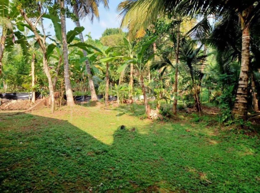 Residential Land for Sale in Kelaniya ads-image-1