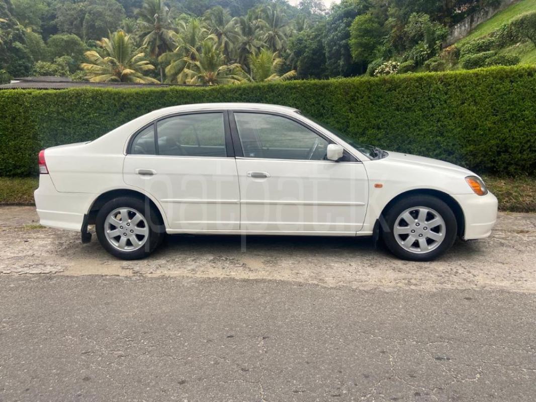 Advertisement image 6