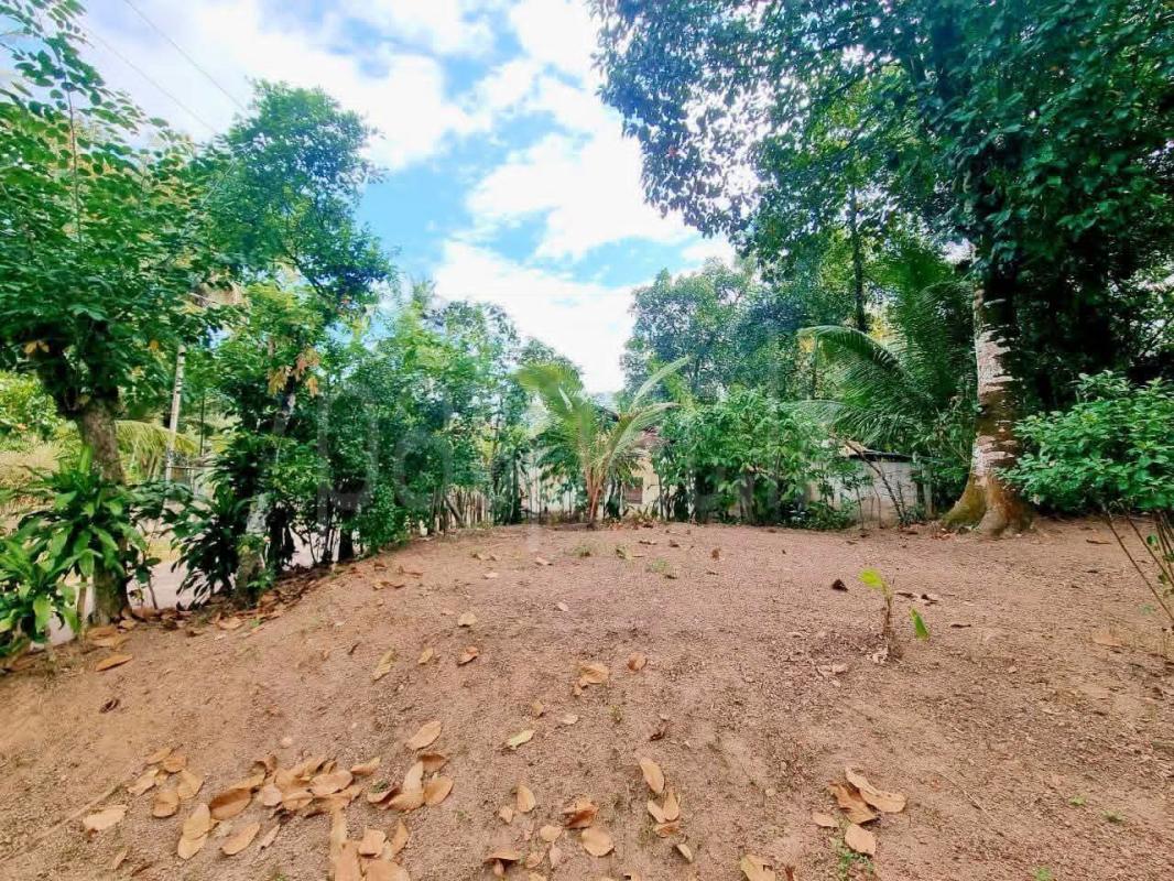 Residential Land for Sale in Yakkala