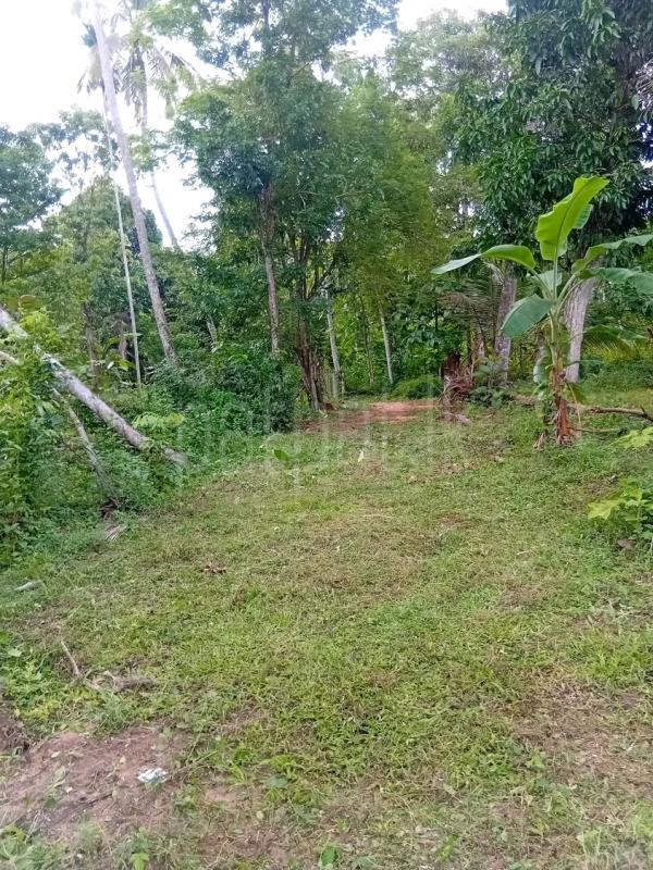 Agricultural Land for Sale in Mawathagama