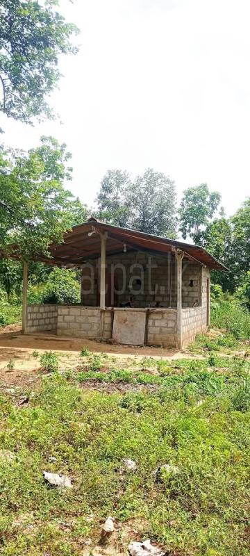 Commercial Land for Sale in Moragollagama