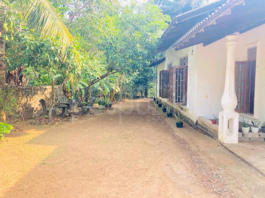 Residential Land for Sale in Beruwala ads-image-1