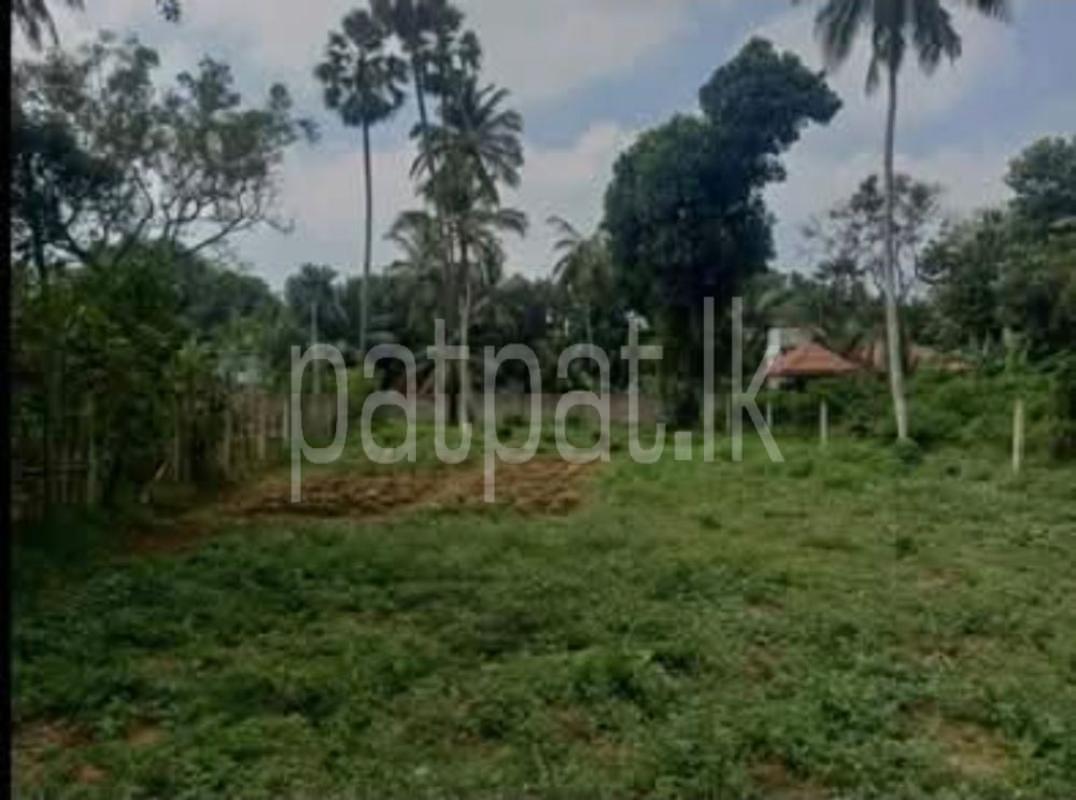 Advertisement image 1