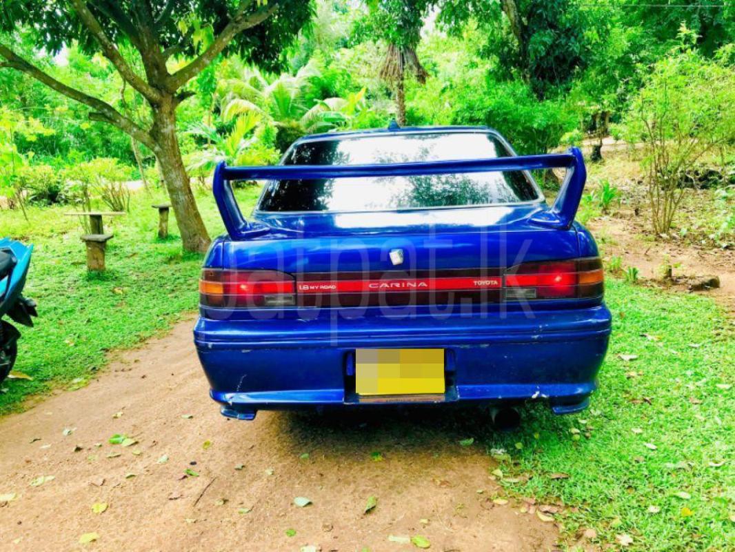 Advertisement image 2