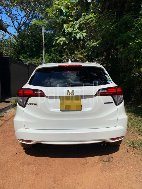 Advertisement image 3