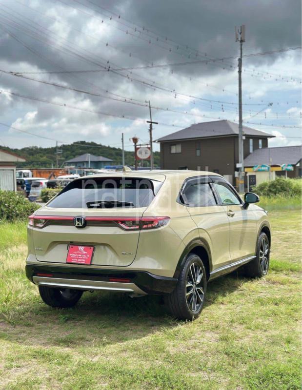 Advertisement image 3