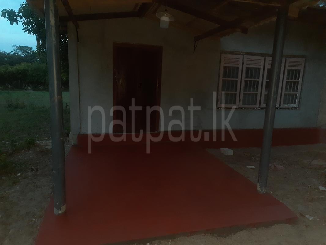 House for Sale in Chavakachcheri