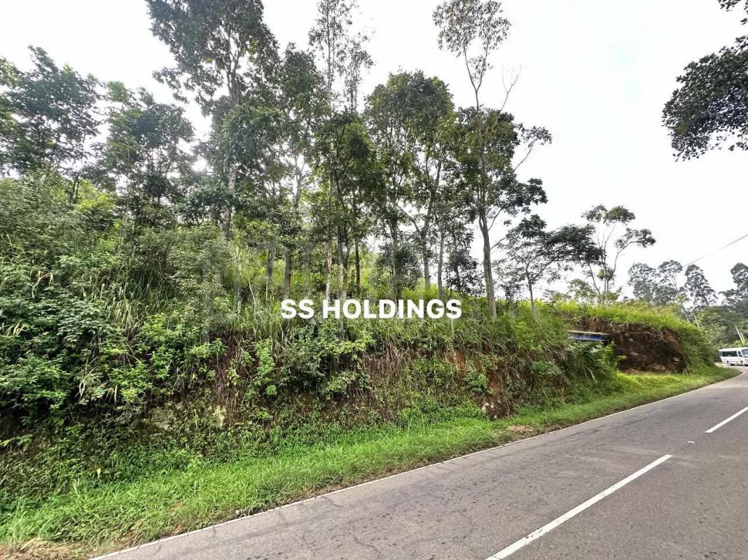 Commercial Land for Sale in Bandarawela