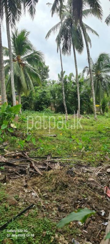 Commercial Land for Sale in Padukka ads-image-1